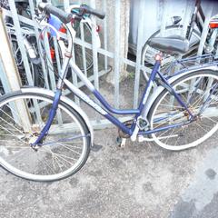 Damesfiets Avenue, segundo informou Gemeente Noordwijk usando iLost