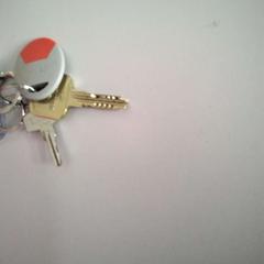 Klíč, jak nahlášeno Twisto pomocí iLost