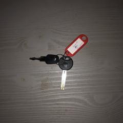 Fietssleutels aan sleutelring met label, come riportato a iLost