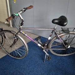 Herresykkel, som rapportert av Gemeente Roermond ved bruk av iLost