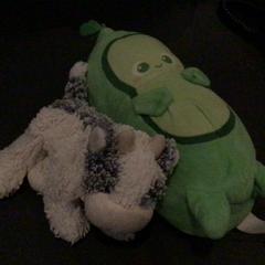 Toy, as reported by Van der Valk Hotel Amsterdam Zuidas using iLost