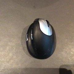 Maus, gemeldet von Van der Valk Hotel Amsterdam Zuidas über iLost