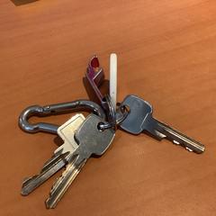 Porte-clés, a été signalé par Gemeente Amsterdam - Bureau Gevonden Voorwerpen utilisant iLost