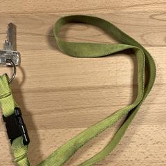 Keys with green key cord, segundo informou a iLost