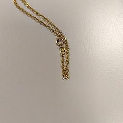 Náramok Messing, ako bolo nahlásené Vrije Universiteit Amsterdam pomocou iLost