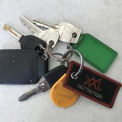 Sleutelbos, ha sido reportado a iLost