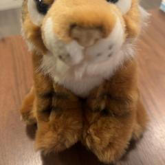 Knuffel, zoals gemeld door Pathé Zaandam met iLost