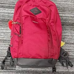 Rugzak, zoals gemeld door Arriva Limburg Zuid met iLost