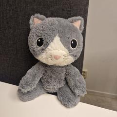 Knuffel van een kat, segundo informou a iLost