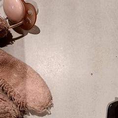 Knuffel, rapporterat av De Efteling med iLost