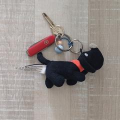 Sleutel, ako bolo nahlásené iLost