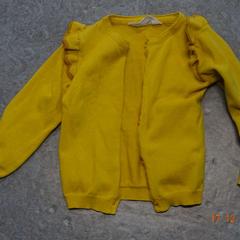 Dětský svetr geel, jak nahlášeno Gemeente Leopoldsburg pomocí iLost