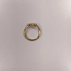 Ring Messing, as reported by Vrije Universiteit Amsterdam using iLost