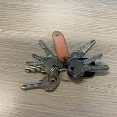 Klíče, jak nahlášeno Gemeente Arnhem pomocí iLost