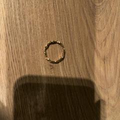 Anell, segons ha informat Van der Valk Hotel Haarlem mitjançant iLost