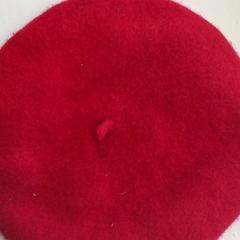 Boina, segons ha informat GVB mitjançant iLost