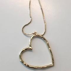 Ketting met hanger, gemeldet von Ziekenhuis Oost-Limburg über iLost