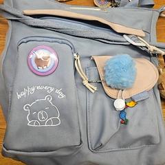 Sac, a été signalé par GVB utilisant iLost