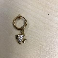 Earring, as reported by Gemeente Nijmegen using iLost