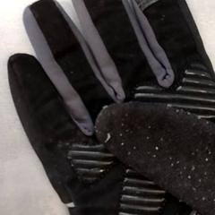 قفاز، كما تم الإبلاغ عنه بواسطة Arriva Friesland / Groningen عبر iLost