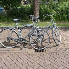 twee fietsen, ha sido reportado a iLost