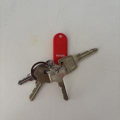 Keys, som rapporterats till iLost