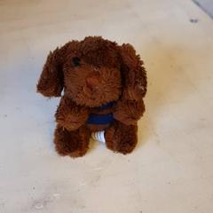 Nøkkelring, som rapportert av DierenPark Amersfoort ved bruk av iLost