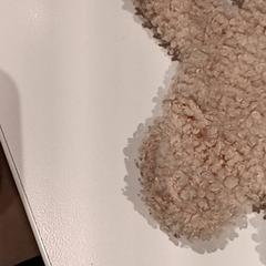 Przytulanka, zgłoszono przez De Efteling przy użyciu iLost