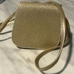 Bag Gold glitter, as reported by Fjord Line - Fjord FSTR using iLost