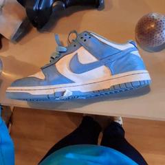 Schoen Blauw Nike, zoals gemeld door Familiepark Drievliet met iLost
