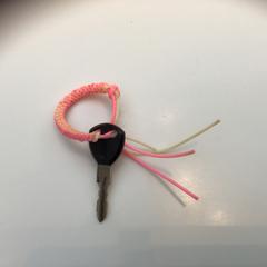 Sleutel met roze/gele hanger, zoals gemeld door Rijksmuseum met iLost