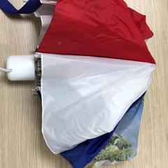 Paraguas Rood wit blauw, ha sido reportado por Diakonessenhuis Zeist con iLost