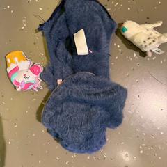 Spielzeug BLUE, WHITE, gemeldet von Room Mate Bruno über iLost