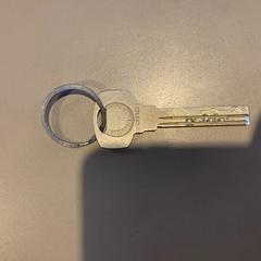 Key Sliver, as reported by Ramada by Wyndham Amsterdam Airport Schiphol using iLost