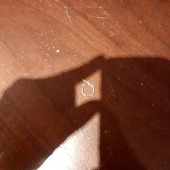 귀걸이, iLost를 사용하여 Grand Hotel Amrath Kurhaus에 보고됨