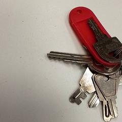 Key, as reported by ilévia using iLost