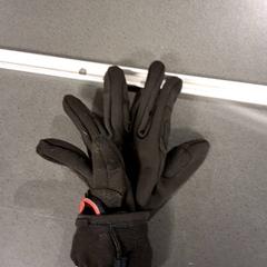 Kesztyű, amint azt Breng Nijmegen az iLost segítségével jelentette.