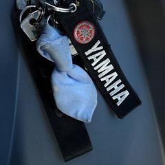 Nøkkelring, som rapportert av RRReis IJssel-Vecht Lelystad ved bruk av iLost