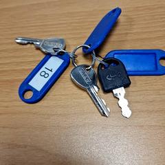 Chiavi, come riportato da Gemeente Roermond utilizzando iLost