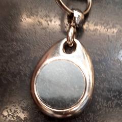 مفتاح السيارة، كما تم الإبلاغ عنه بواسطة Rotterdam The Hague Airport عبر iLost