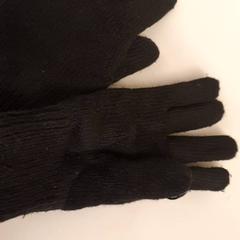 Hansker Zwart, som rapportert av HvA Amstelcampus ved bruk av iLost