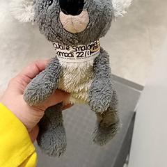 Kuddiga slag, rapporterat av IKEA Brest Guipavas med iLost