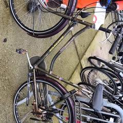 レディースバイク Batavus がiLostで Stadswerk072 によって報告されました