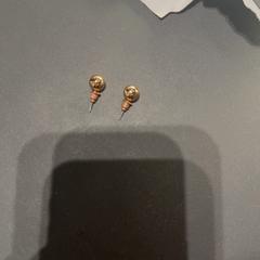 Oorbellen, zoals gemeld door Van der Valk Hotel Houten met iLost