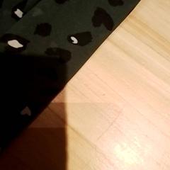 Blus, rapporterat av Beekse Bergen Resorts en Hotel med iLost