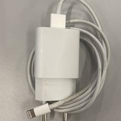 Ładowarka do iPhone'a lightning, zgłoszono przez Heidelberglaan 15 przy użyciu iLost
