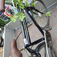 Herresykkel, som rapportert av Gemeente Roermond ved bruk av iLost