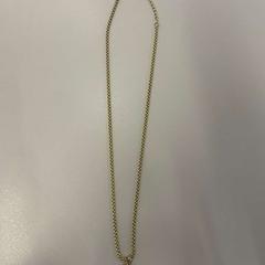 Halskjede Goud, som rapportert av Heidelberglaan 15 ved bruk av iLost