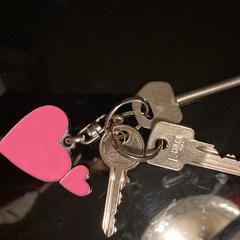 Keys, som rapporterats till iLost