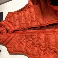 Escalfador corporal Oranje -040625 DUA2, segons ha informat Ziggo Dome mitjançant iLost